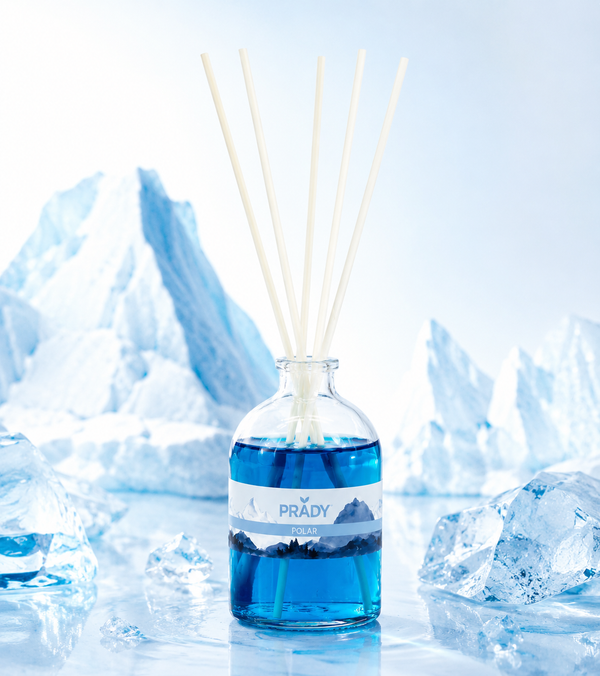 Prady Mikado 100ML – Polar