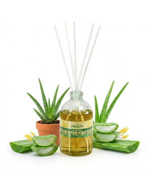 Prady Mikado 100ML – Aloe Vera
